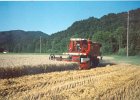 International Harvester 1660 08